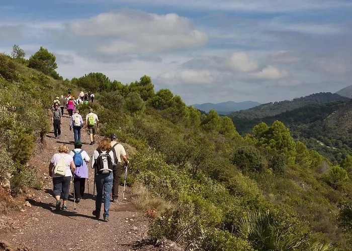 Al4-2017 - - Alcazaba Lagoon Апартаменты *