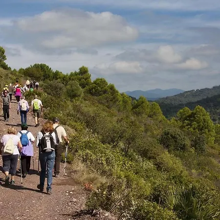 Al4-2017 - - Alcazaba Lagoon 公寓 *