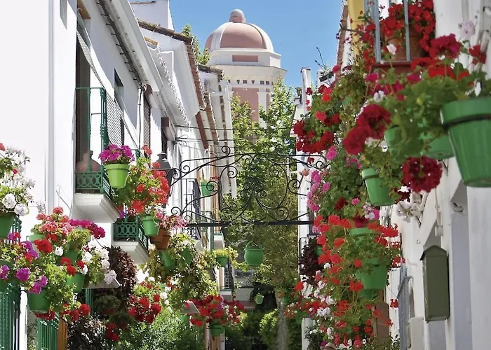 Al4-2017 - - Alcazaba Lagoon Appartamento